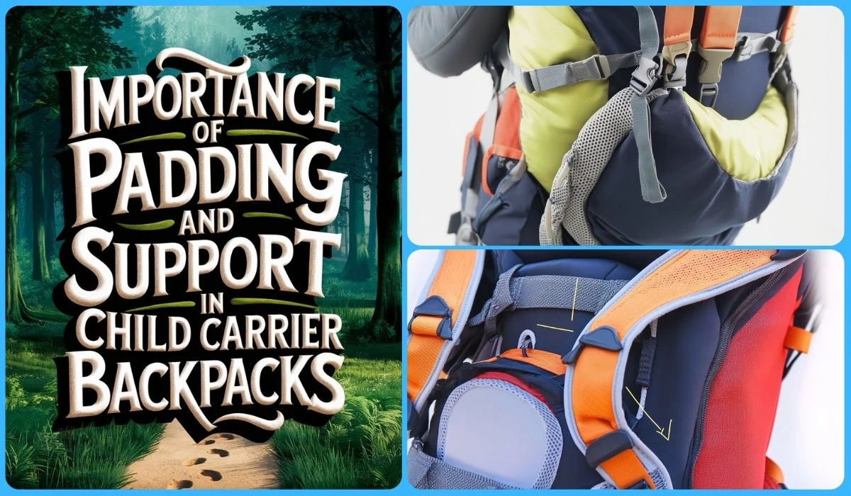 blog post featured image for importance of padding and support in child carrier hiking backpacks